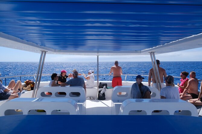 Madeira Dolphin and Whale Watching on a Ecological Catamaran - Is a boat carrying up to 149 people too large?