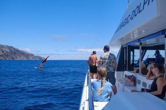 Madeira Dolphin and Whale Watching on a Ecological Catamaran - Booking, cancellations, and timing