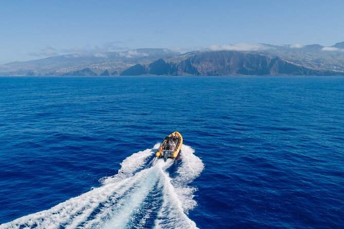Madeira Dolphin & Whale Watching Tour - Leaving Funchal Marina aboard the RIB