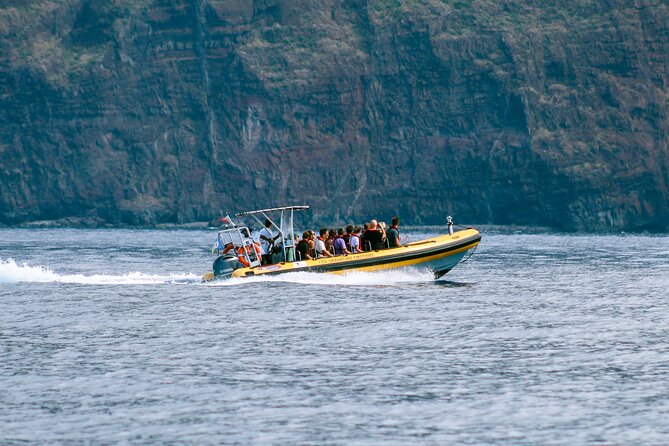 Madeira Dolphin & Whale Watching Tour - How long is 2.5 hours in practice?