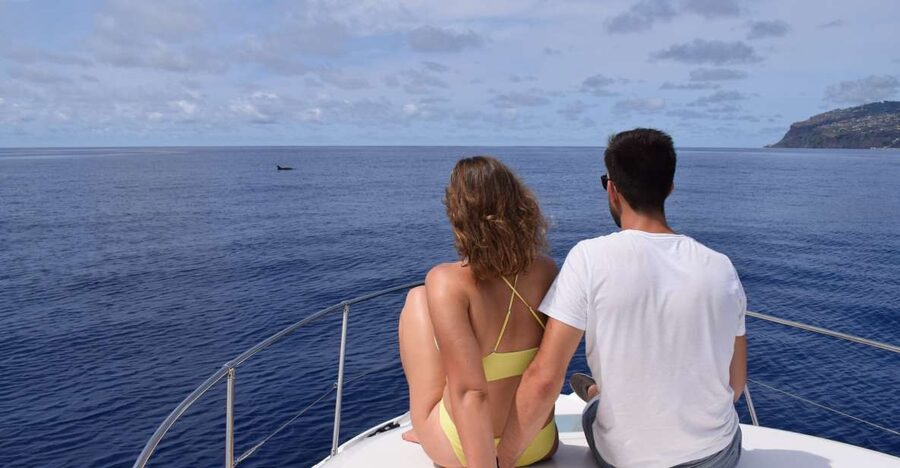 Madeira: Whale and Dolphin Watching Private Cruise - Leaving Calheta Marina for Madeira’s open coast