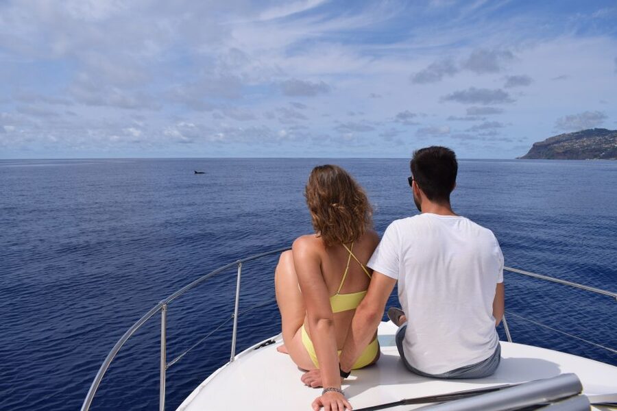 Madeira: Whale and Dolphin Watching Private Cruise - What $577 means for a private group