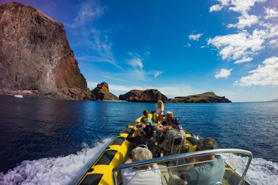 Madeira: Whale and Dolphin Watching Tour - Key things to know before you book