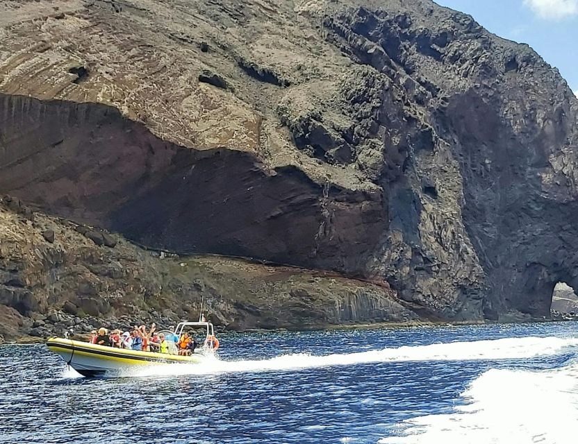 Madeira: Whale and Dolphin Watching Tour - How much value do you get for $70?
