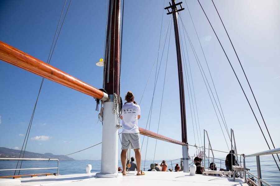 Madeira : Whales and Dolphins wooden boat excursion - Booking, cancellation, and timing tips