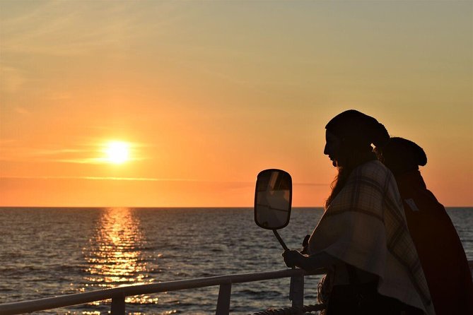 Magical Whales in the Midnight Sun | from Reykjavik - Key points to know before booking