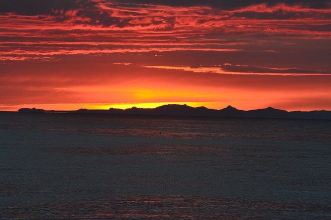Magical Whales in the Midnight Sun | from Reykjavik - What the midnight sun adds