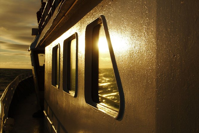 Magical Whales in the Midnight Sun | from Reykjavik - Who will enjoy this cruise most?