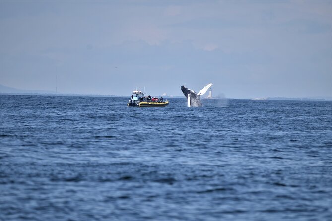 Maine Whale Watching Tour in Portland - Portland Head Light frames the opening minutes