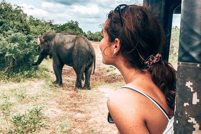 Majestic Mammals Of Sri Lanka: Whale & Elephant Safari Tour - Why this day works for wildlife fans