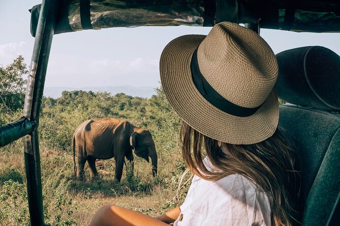 Majestic Mammals Of Sri Lanka: Whale & Elephant Safari Tour - What to bring and how to prepare