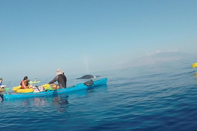 Makena Whale Watching and Snorkel - A quiet start at Makena Landing
