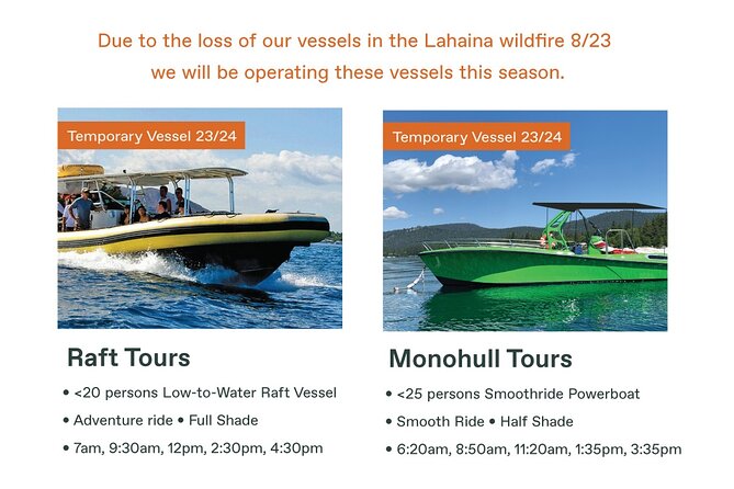 Maui Eco-Raft Tour: Eye-Level Whale or Dolphin Watching - Lahaina - Summer dolphins and coastal views