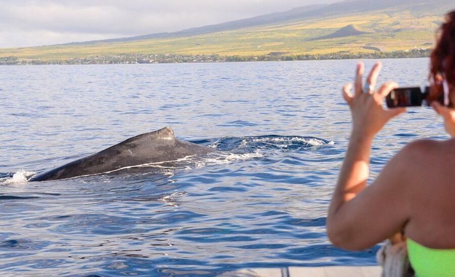 Maui: Guided Whale Watching Tour on Eco Raft - Snacks, drinks, and the family-style mood