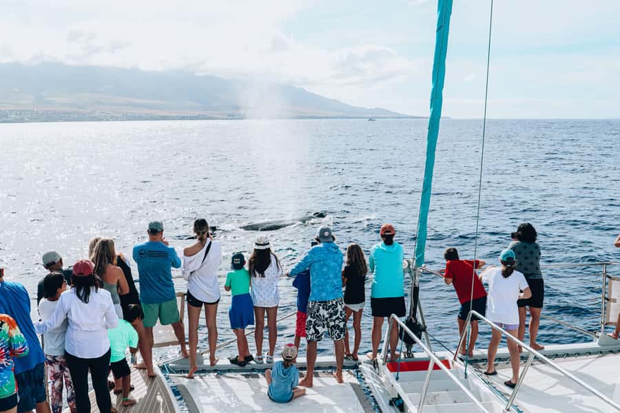 Maui: Ka'anapali Whale Watching Cruise on Luxury Sailboat - Hearing whales through the hydrophone