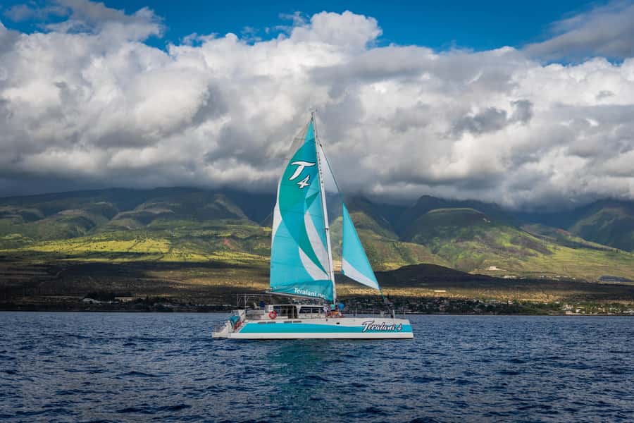 Maui: Kaanapali Whale Watching Boat with Open Bar and Food - What the $167 price really buys you