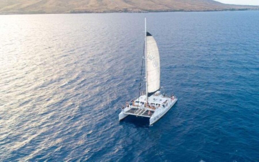 Maui: Luxury Catamaran Whale Watch & Sail - Key points to know before you book