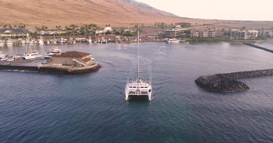 Maui: Luxury Catamaran Whale Watch & Sail - Why this Maui whale watch is about more than spotting a spout