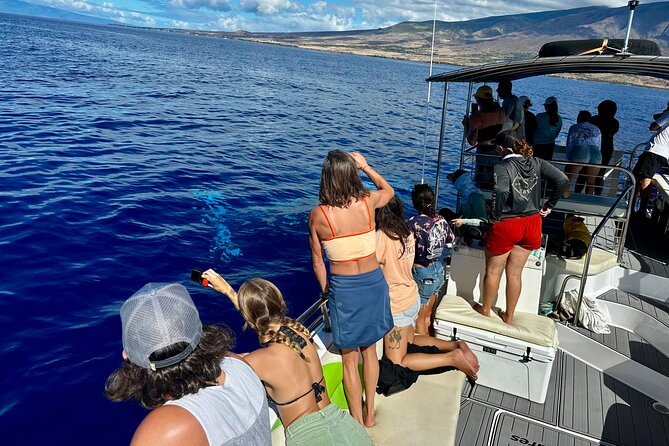 Maui Mid Day Magic Whale Watch - Why the midday departure works so well