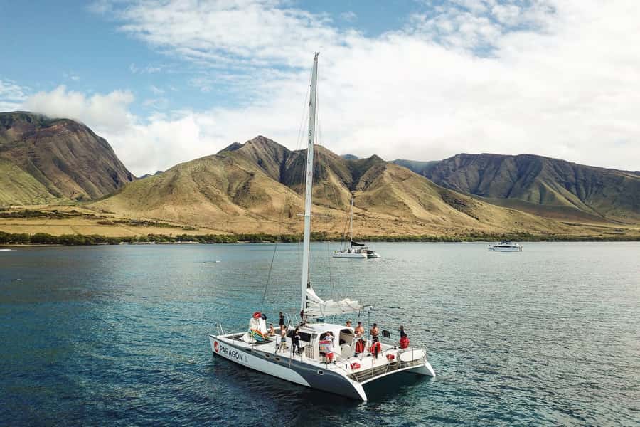 Maui: Midday Sail with the Whales Māʻalaea Harbor - What the sailing experience feels like