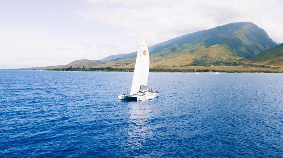 Maui: Midday Sail with the Whales Māʻalaea Harbor - FAQ