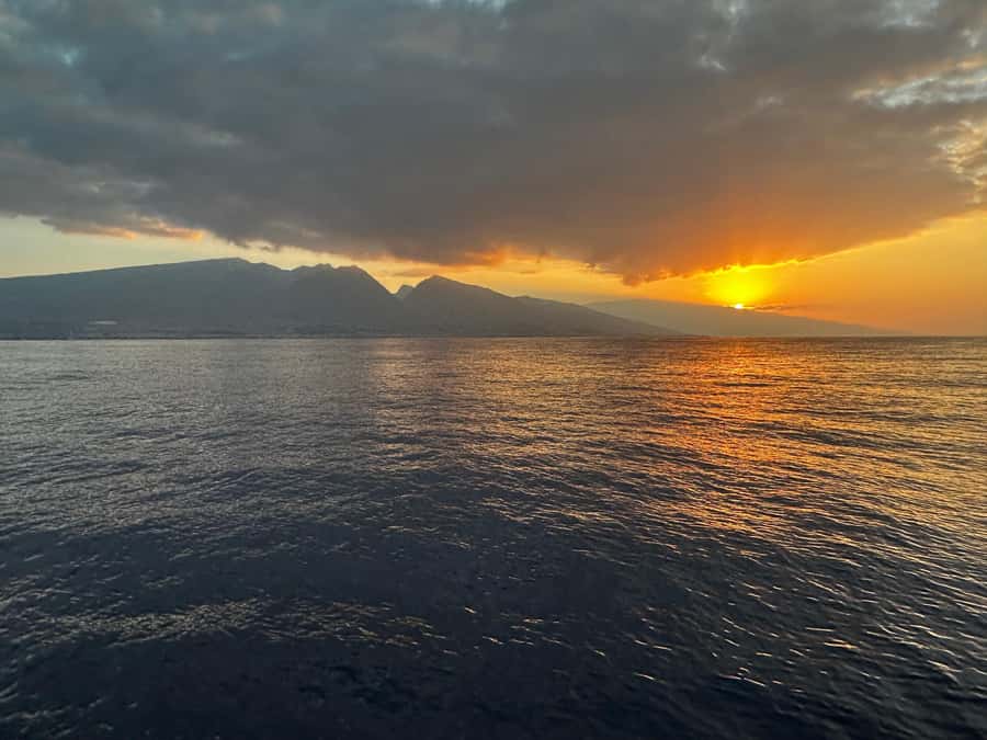Maui: Sunrise Whale Watch - Watching whales in Maui’s protected waters