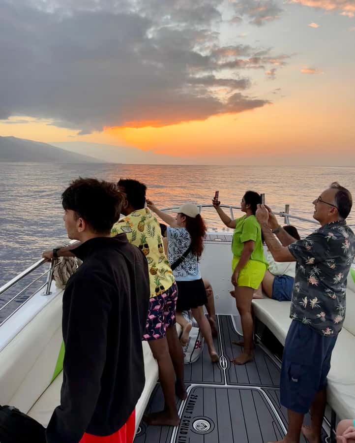 Maui: Sunrise Whale Watch - Practical advice before you board