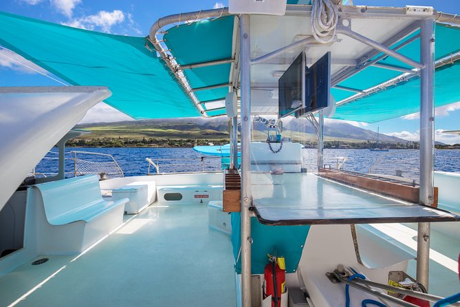 Maui: Whale Watching Cruise with Open Bar from Ka'anapali Beach - Open Nets, Snacks, and the Included Bar