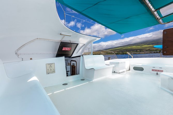 Maui: Whale Watching Cruise with Open Bar from Ka'anapali Beach - Practical Tips for a Better Morning or Afternoon