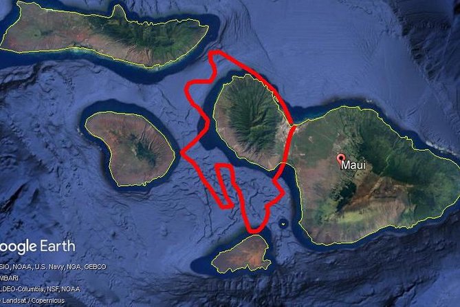 Maui Whale Watching -PRIVATE- Air Tour: (2-5 People): SEE WHALES! - Sugar Beach, Kihei, and Kamaole Beach parks