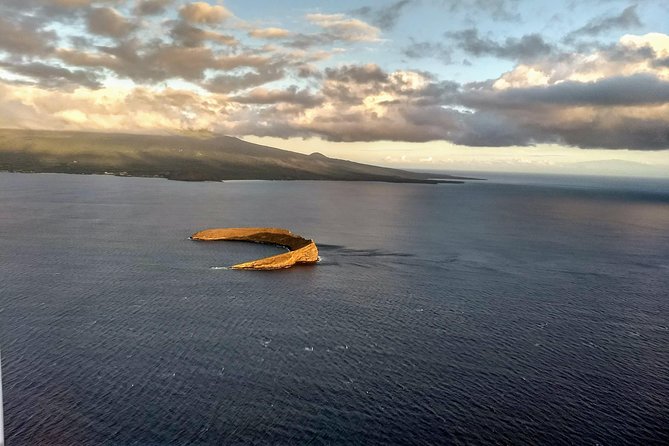 Maui Whale Watching -PRIVATE- Air Tour: (2-5 People): SEE WHALES! - What $420 per person buys you