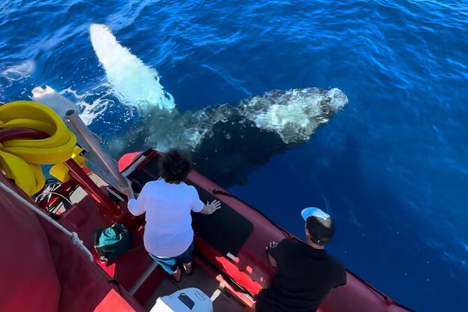 Maui Whale-Watching Tour by Raft from Kihei - What the fast raft ride feels like
