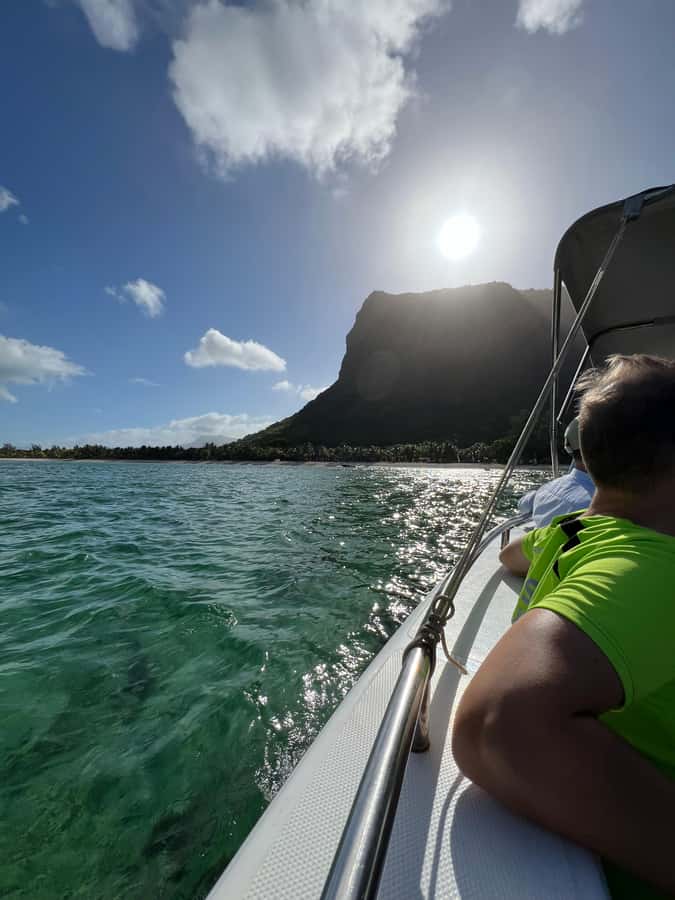 Mauritius Eco Whales Quest, 3-4 hours Expedition - Key points before you book