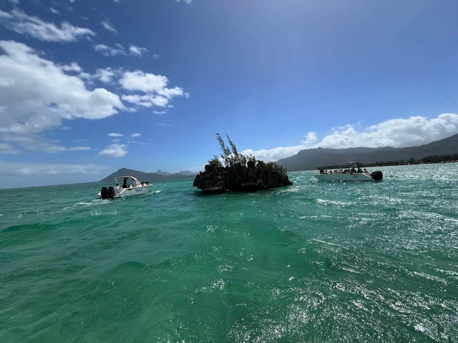 Mauritius Eco Whales Quest, 3-4 hours Expedition - Who will enjoy this whale quest