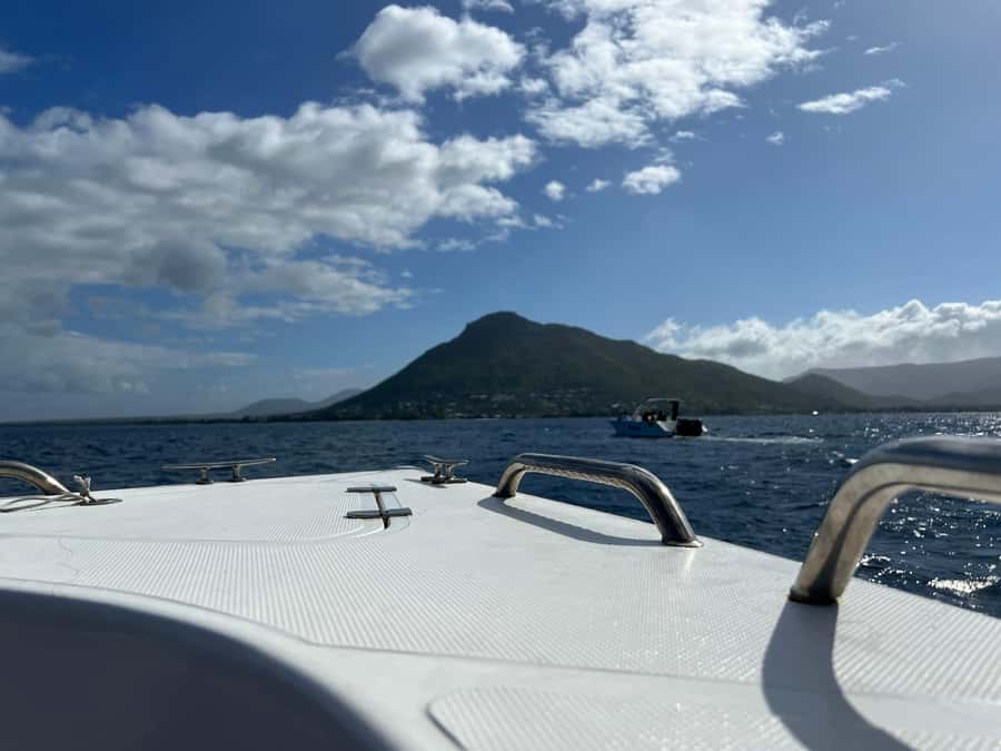 Mauritius Eco Whales Quest, 3-4 hours Expedition - Booking flexibility and final practical checks
