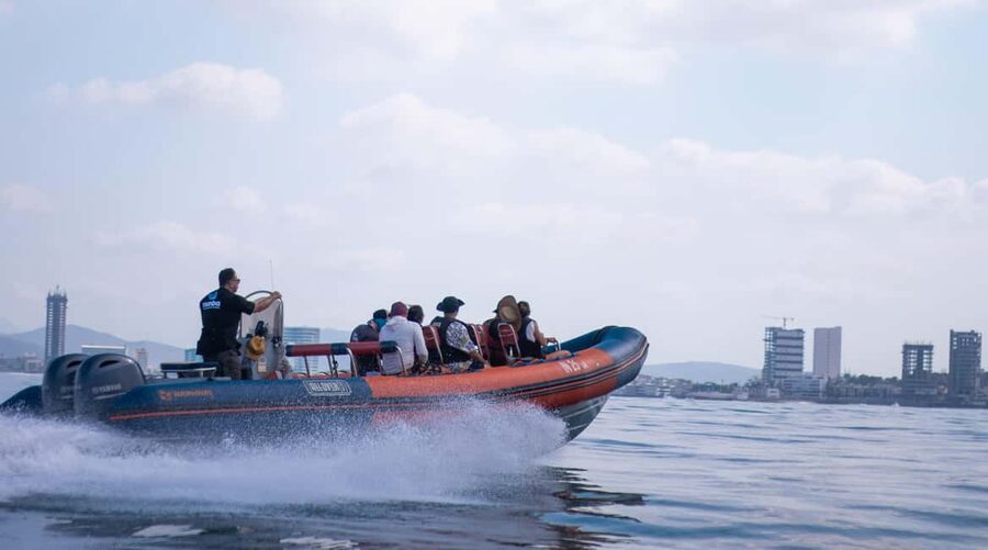 Mazatlán: Whale-Watching Boat Tour with Marine Experts - What the ratings suggest about the experience