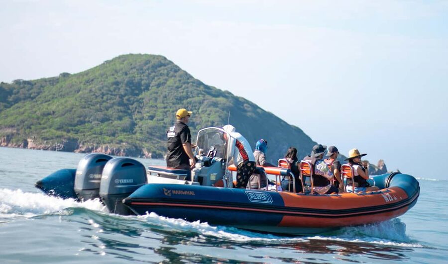 Mazatlán: Whale-Watching Boat Tour with Marine Experts - The boat is capable, but not especially quiet