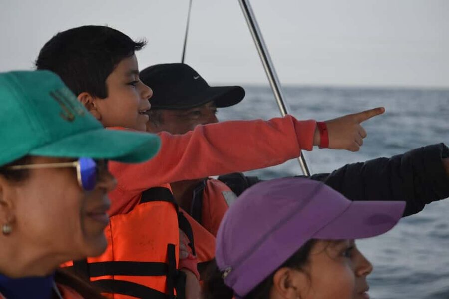 Mazatlán: Whale-Watching Boat Tour with Marine Experts - What the $102 price includes
