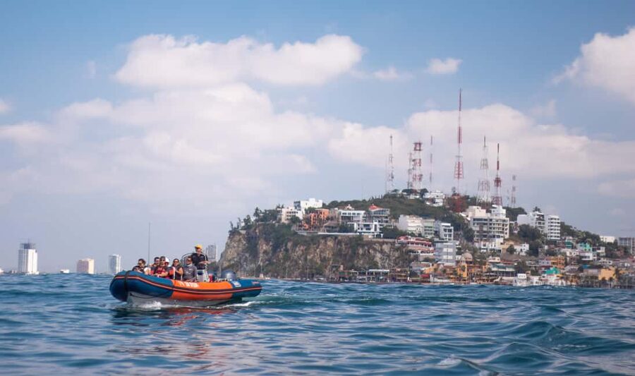 Mazatlán: Whale-Watching Boat Tour with Marine Experts - What to bring for a sunny Pacific morning