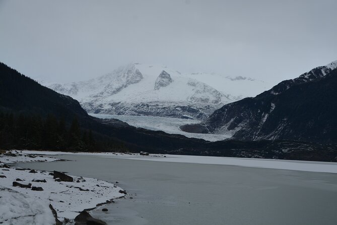 Mendenhall Glacier and Whale Watching Tour - Mendenhall Glacier in a 40-minute window