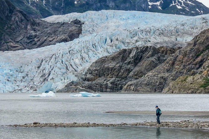 Mendenhall Glacier Visitor Center and Ultimate Whale Watch Combo - How much time will you really have?