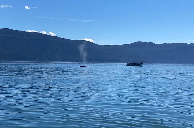 Mendenhall Glacier Waterfall and Whale Watching Tour - Mendenhall Glacier Visitor Center: useful, but timing matters
