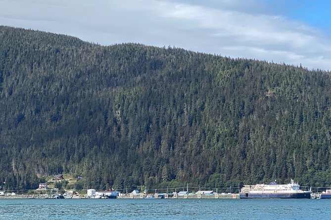 Mendenhall Glacier Waterfall and Whale Watching Tour - Auke Bay and the search for whales