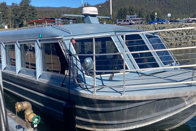 Mendenhall Glacier Waterfall and Whale Watching Tour - Who gets the best value from the $199 price