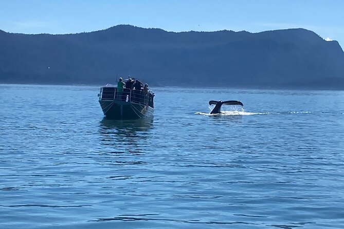 Mendenhall Glacier Waterfall and Whale Watching Tour - Nugget Falls and the rainforest path