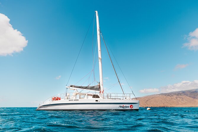 Midday Whale Watch: Mā’alaea Harbor - The crew and the feel onboard