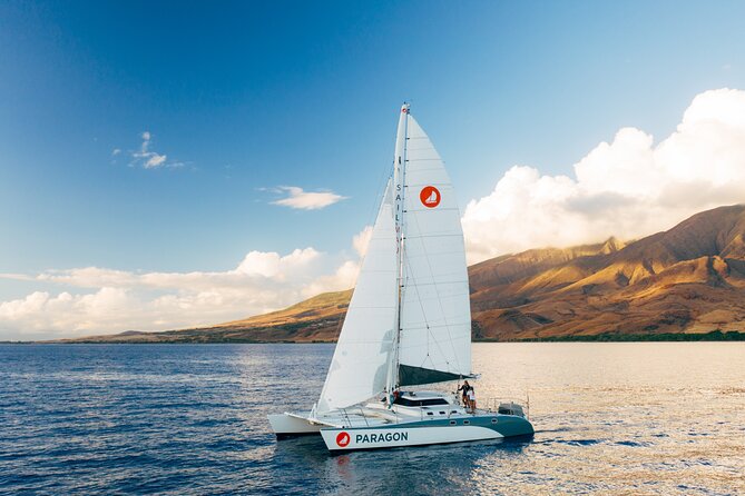 Midmorning Whale Watch from Lahaina Harbor - Snacks, drinks, and small comforts