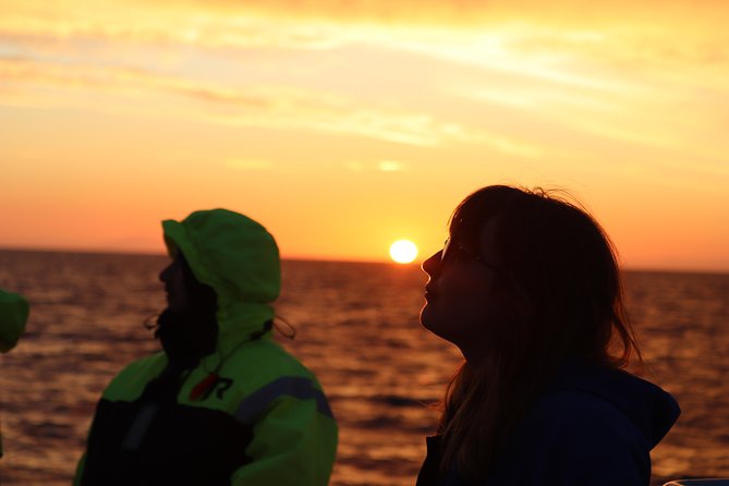 Midnight Sun Whale Watching from Reykjavik - Why the midnight sun makes this whale watch different