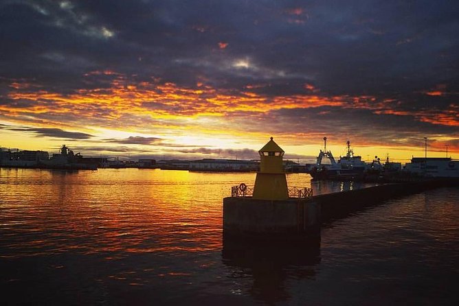 Midnight Sun Whale Watching from Reykjavik - Price and value at $109.34