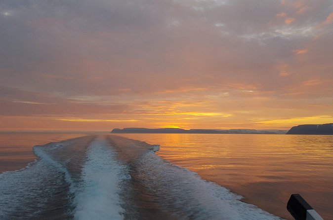 Midnight Whale Watching With Hydrophone - Is this midnight whale tour worth booking?